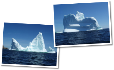 Giant Icebergs, Newfoundland, Canada